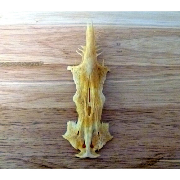 Postcard crucifix fish gaff top sailcat religious jesus christ cross - Picture 5 of 6